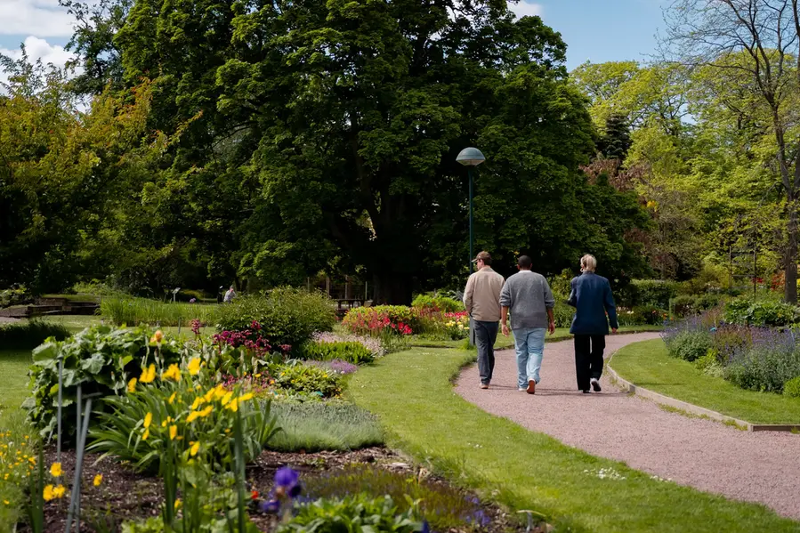 Tre personer går längs en grusad gång med blommande rabatter, buskar och gräs. I Lunds botaniska trädgård.