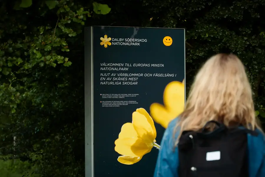 Artister på scen och publik framför